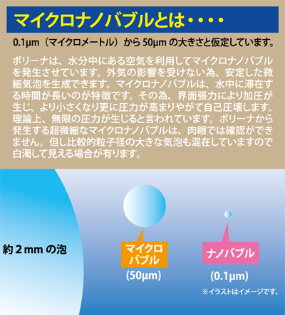サンプルイメージ