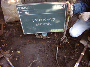 TvC[W